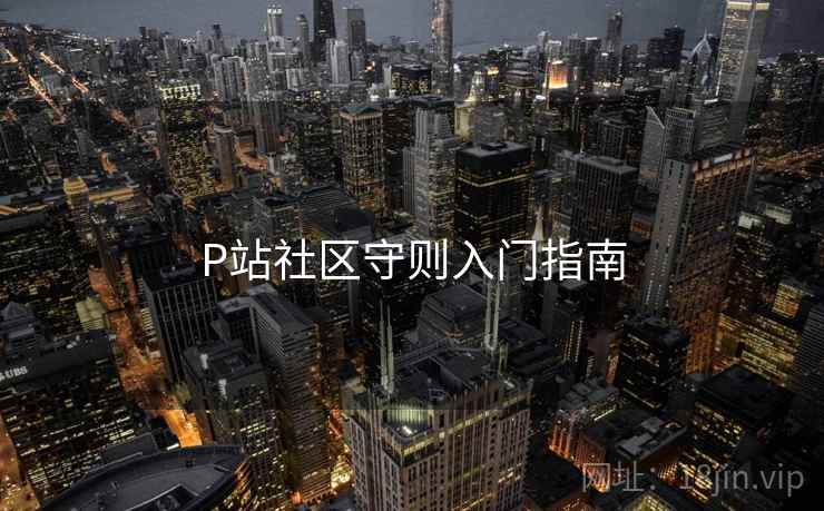 P站社区守则入门指南