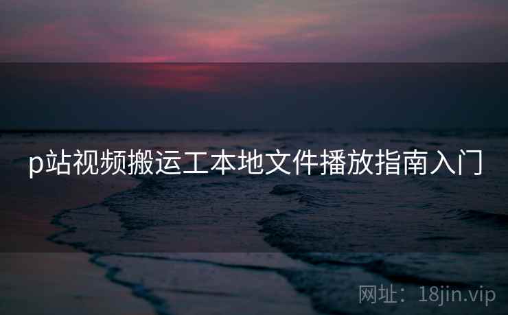 p站视频搬运工本地文件播放指南入门