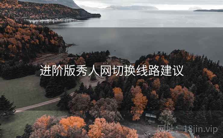进阶版秀人网切换线路建议