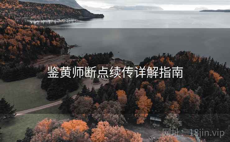 鉴黄师断点续传详解指南