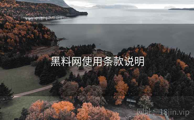 黑料网使用条款说明