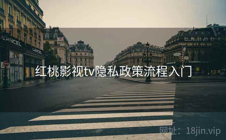 红桃影视tv隐私政策流程入门