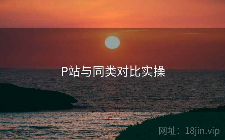 P站与同类对比实操